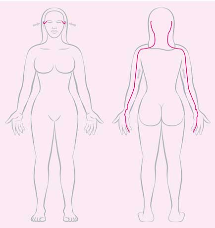 3 Fach Erwärmer Meridian