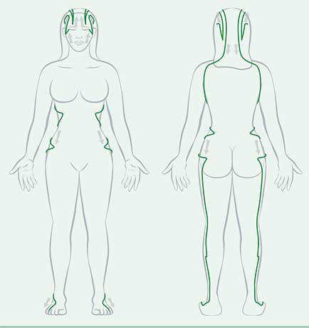 Gallenblasen Meridian