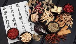 Die Meridiane - Traditionelle Chinesische Medizin