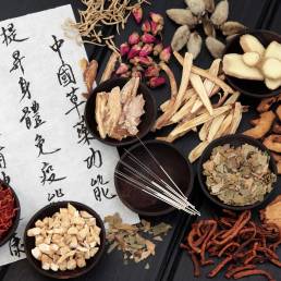 Die Meridiane - Traditionelle Chinesische Medizin