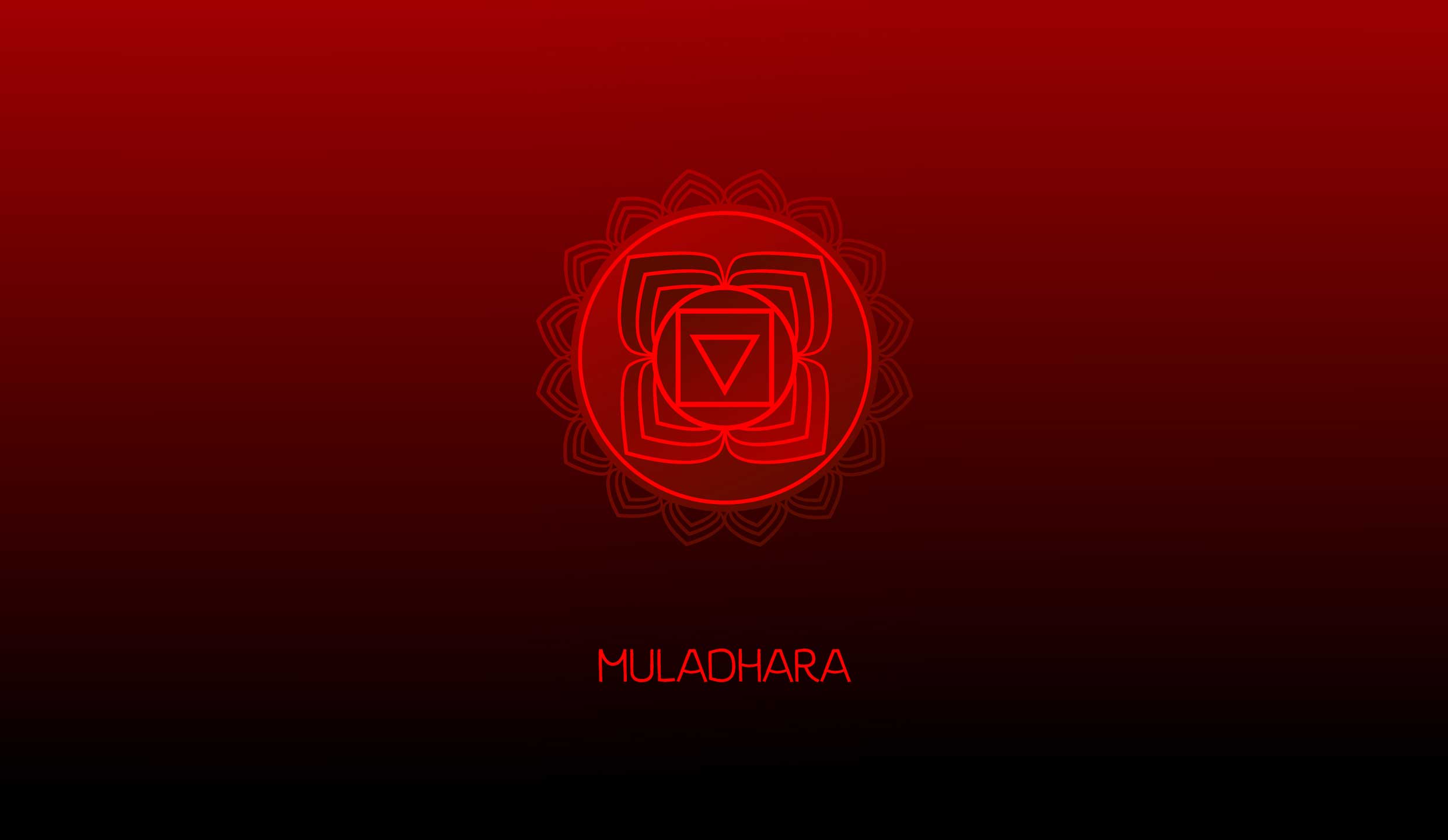 Muldhara rot