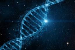 Aktivierung der 12-Strang-DNA