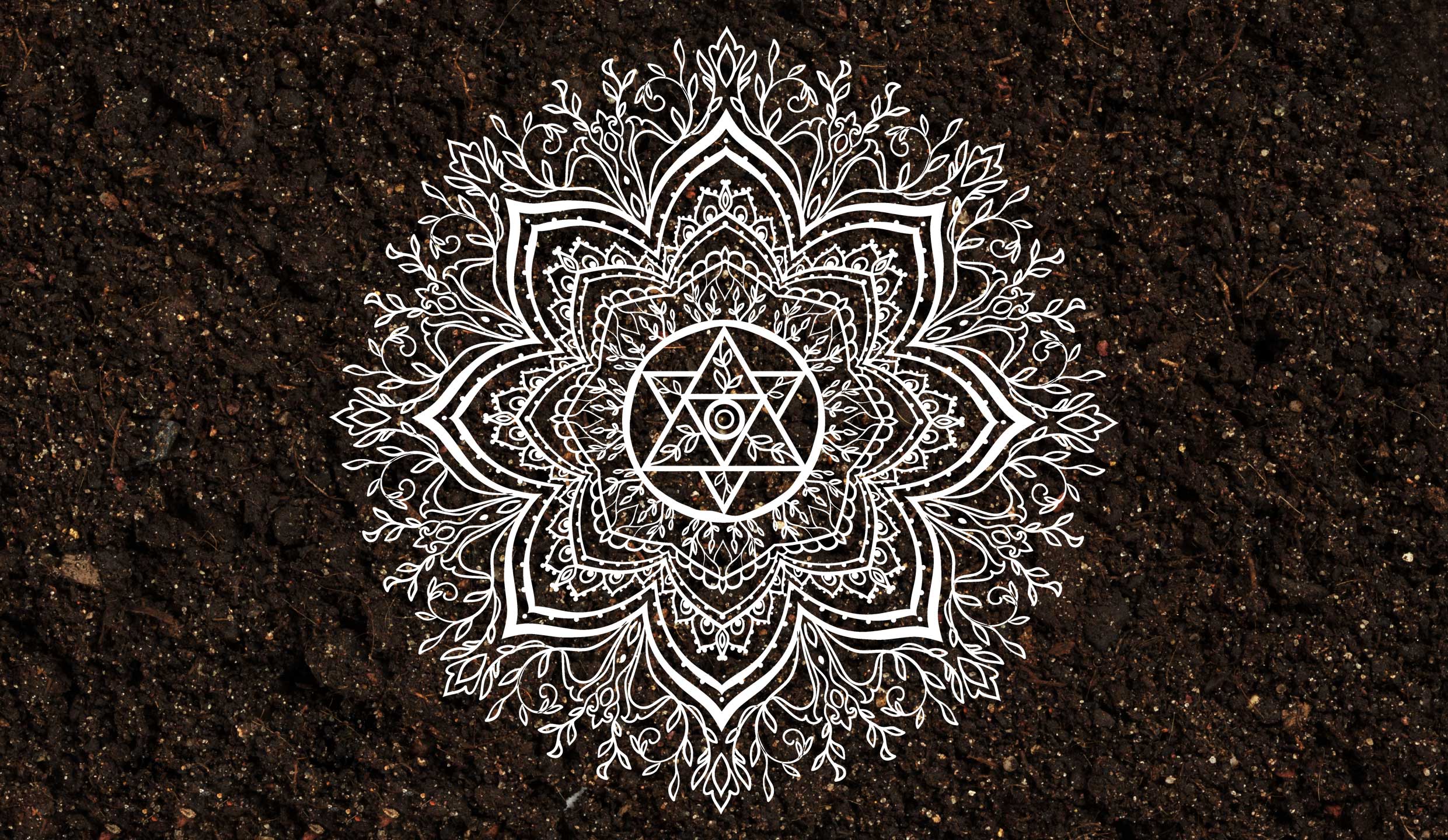 erdstern-chakra-erde