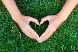 Die Fünfte Herzkammer: Das Tor zum Göttlichen Selbst